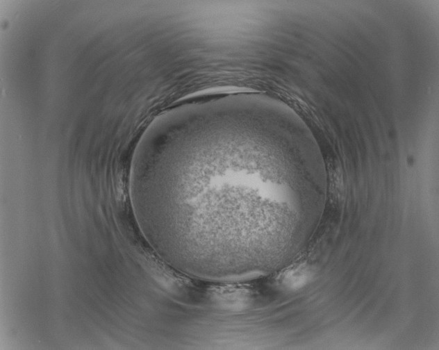 X0000068900331200605122106