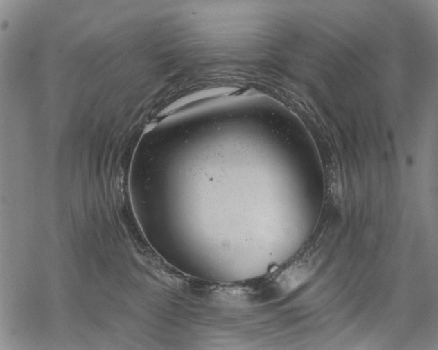 X0000068900332200605122106