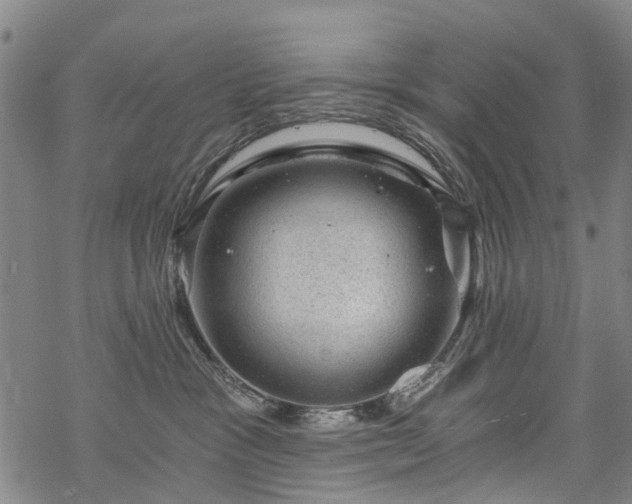 X0000068900333200605122106