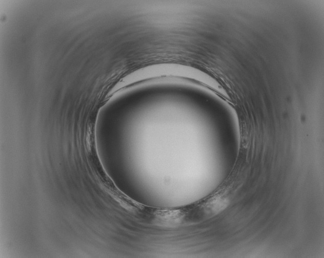 X0000068900334200605122106