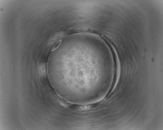 X0000068900335200605122106