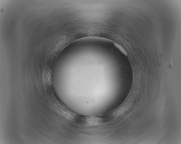 X0000068900336200605122106