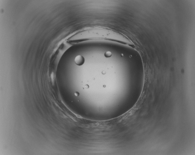 X0000068900338200605122105