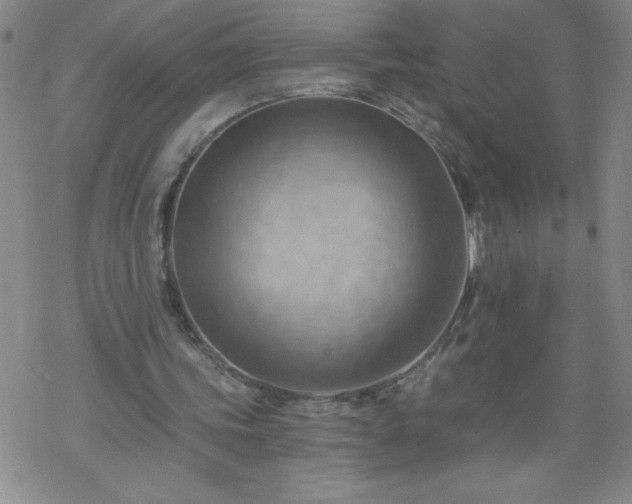 X0000068900339200605122105