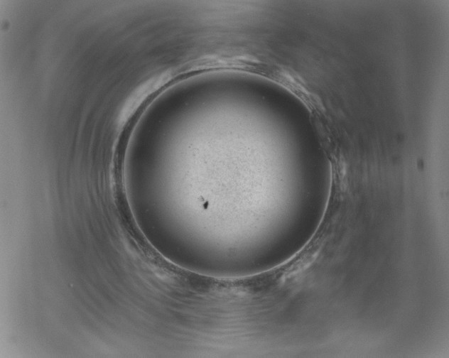 X0000068900340200605122105