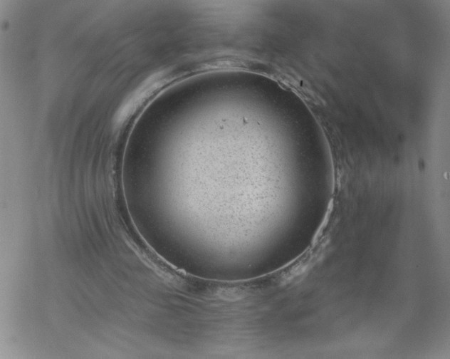 X0000068900341200605122105