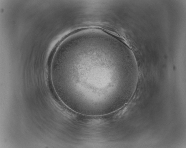 X0000068900342200605122105