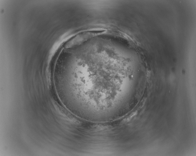 X0000068900343200605122105