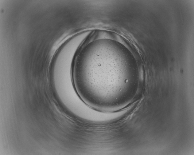 X0000068900344200605122105