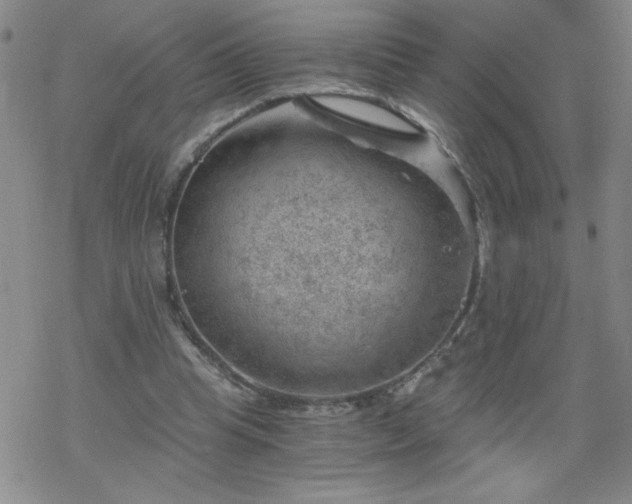 X0000068900345200605122105