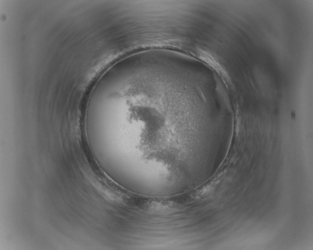 X0000068900346200605122105