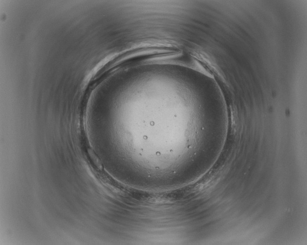 X0000068900348200605122105