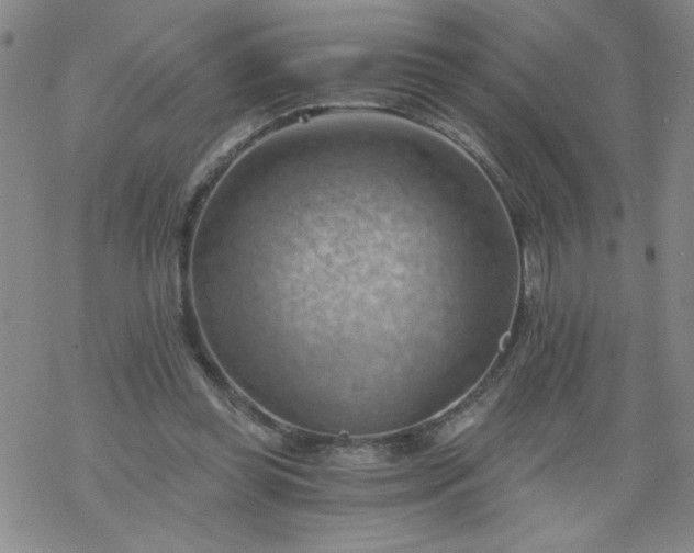 X0000068900349200605122105