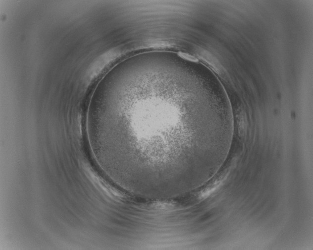 X0000068900350200605122105