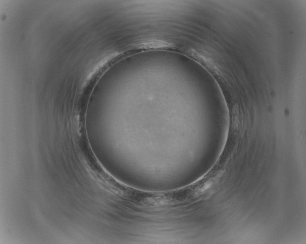 X0000068900351200605122105