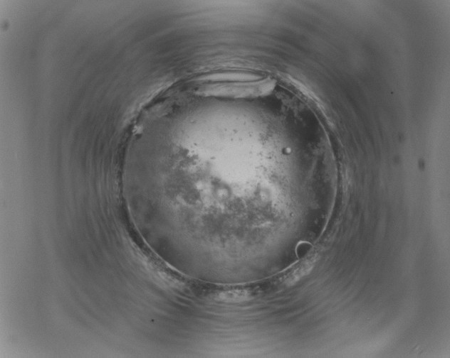 X0000068900353200605122106