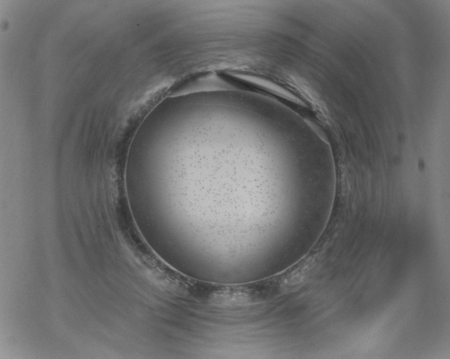 X0000068900354200605122106