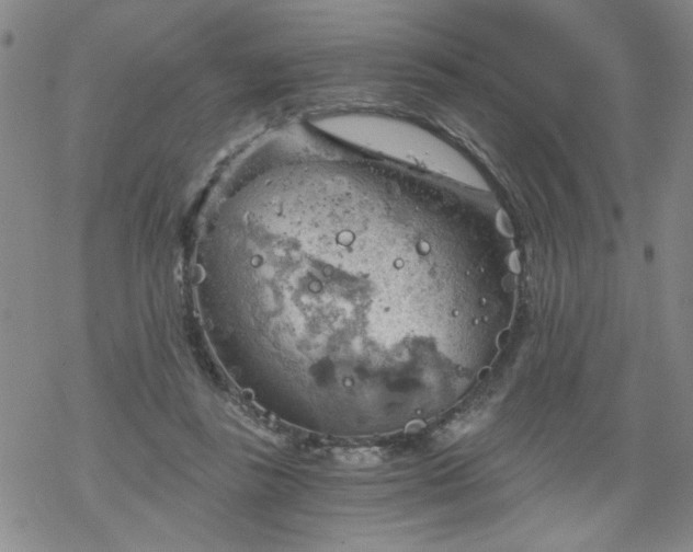 X0000068900355200605122106