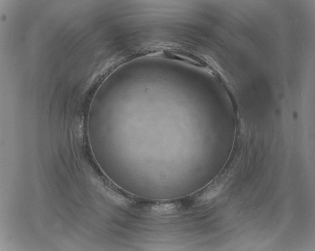 X0000068900357200605122106