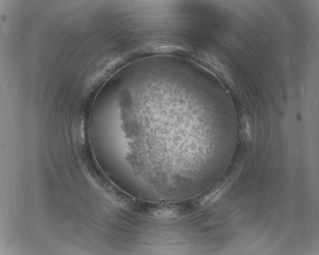 X0000068900358200605122106