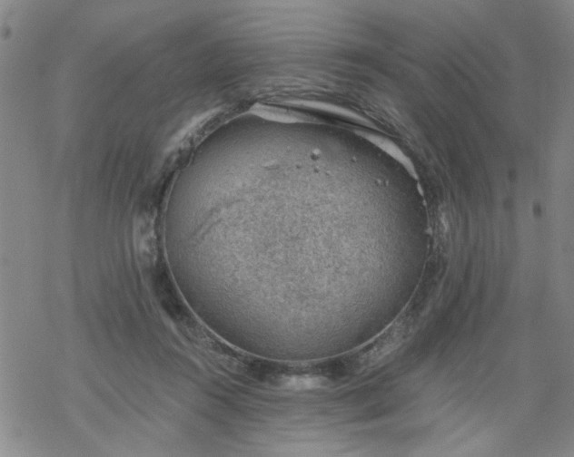 X0000068900360200605122106