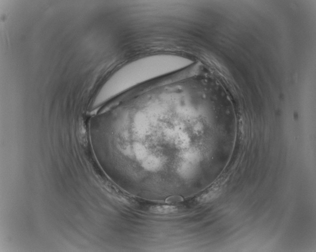 X0000068900361200605122106