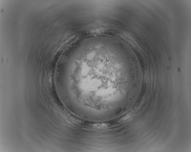 X0000068900363200605122106