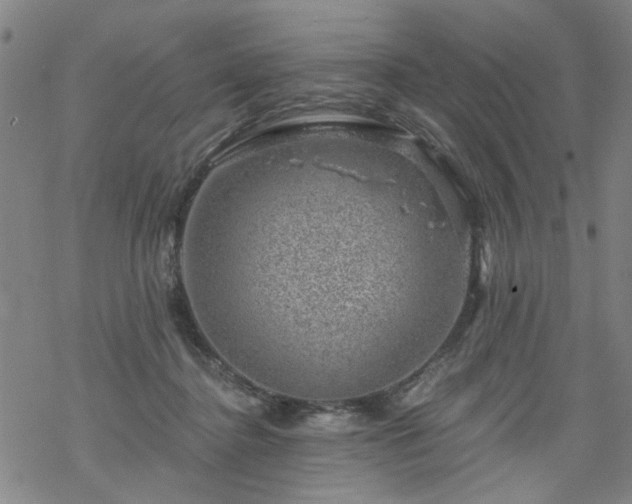 X0000068900364200605122106