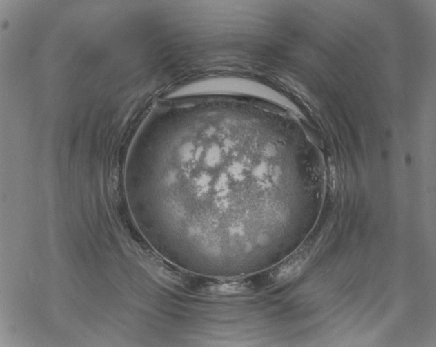 X0000068900365200605122106