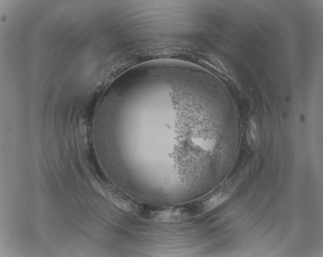 X0000068900366200605122106