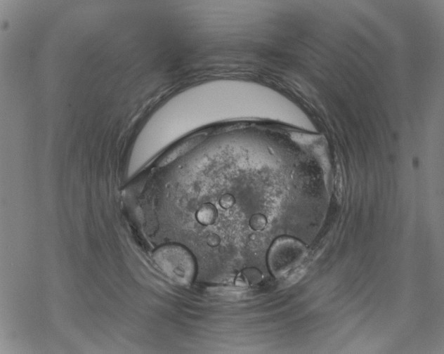 X0000068900367200605122106