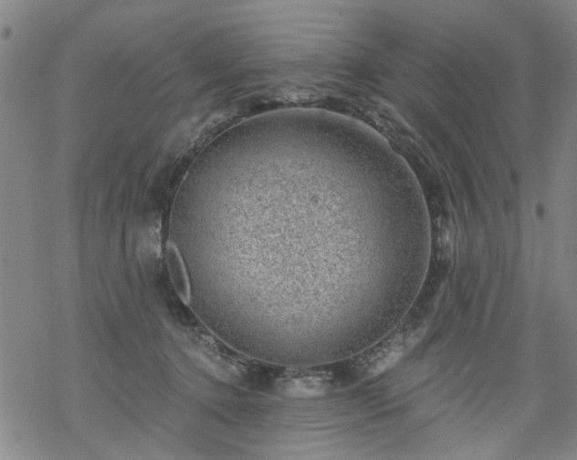 X0000068900368200605122106