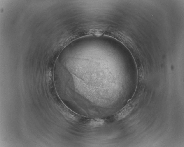 X0000068900369200605122106