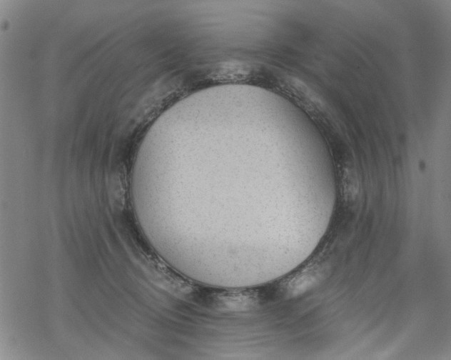 X0000068900370200605122106