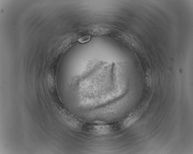 X0000068900371200605122106