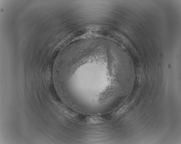 X0000068900372200605122106