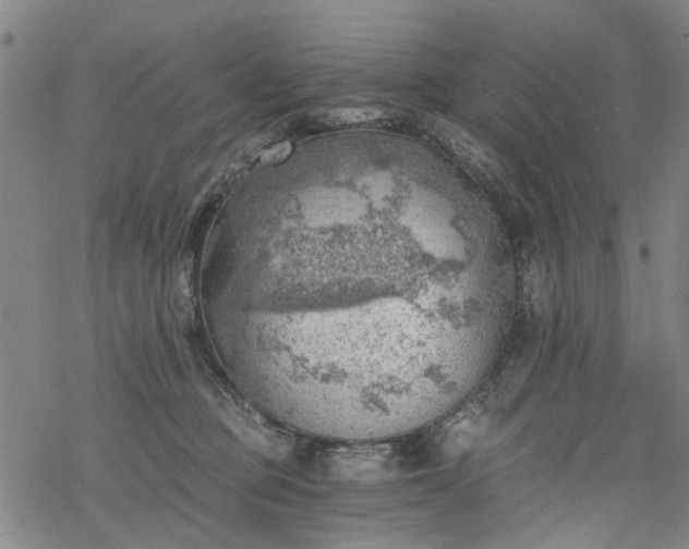 X0000068900373200605122106