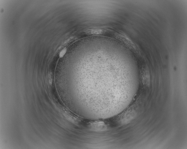 X0000068900374200605122106