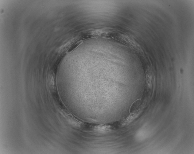 X0000068900375200605122106