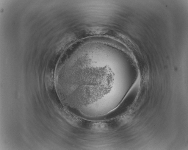 X0000068900376200605122106