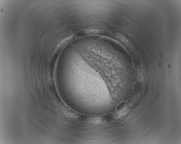 X0000068900377200605122106