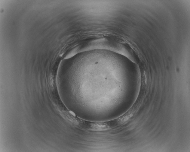 X0000068900380200605122106