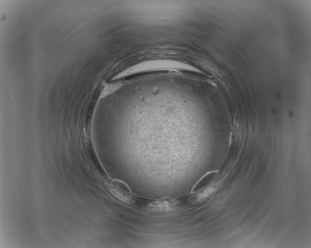 X0000068900381200605122106