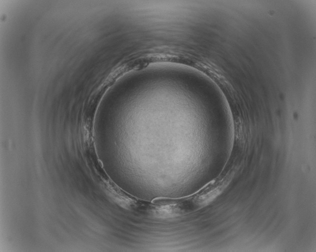 X0000068900382200605122106