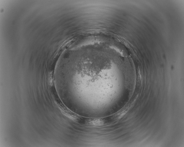 X0000068900383200605122106