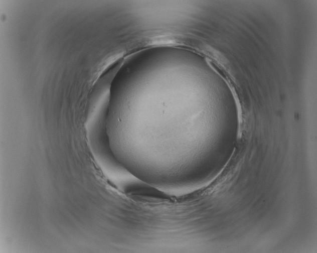 X0000068900385200605122105