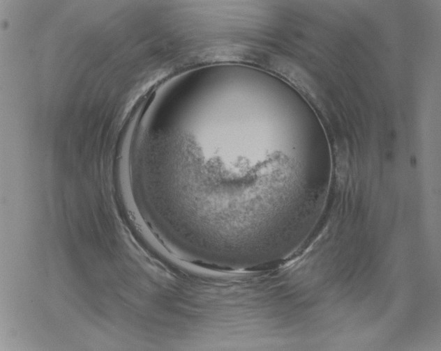 X0000068900386200605122105