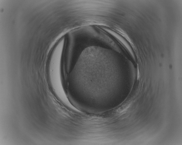 X0000068900387200605122105