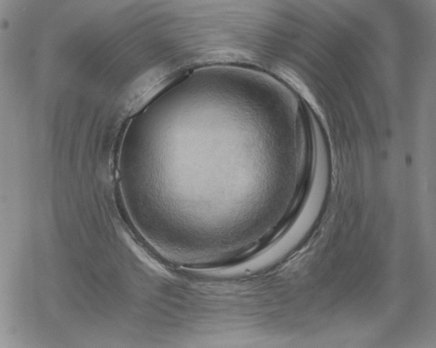 X0000068900389200605122105