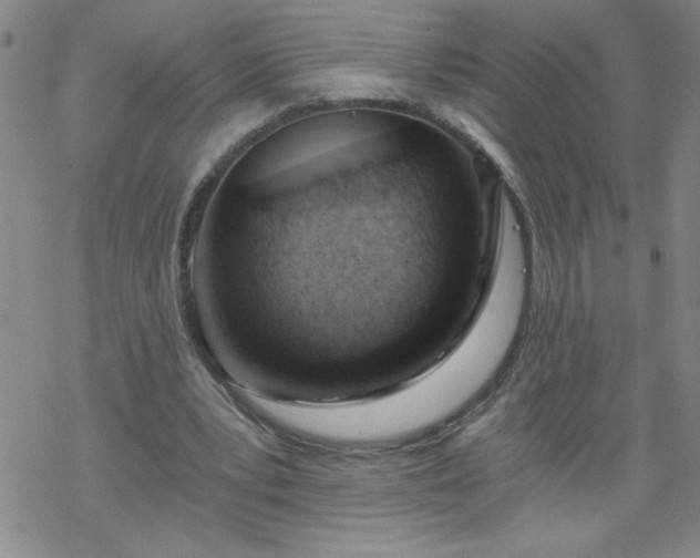 X0000068900391200605122105